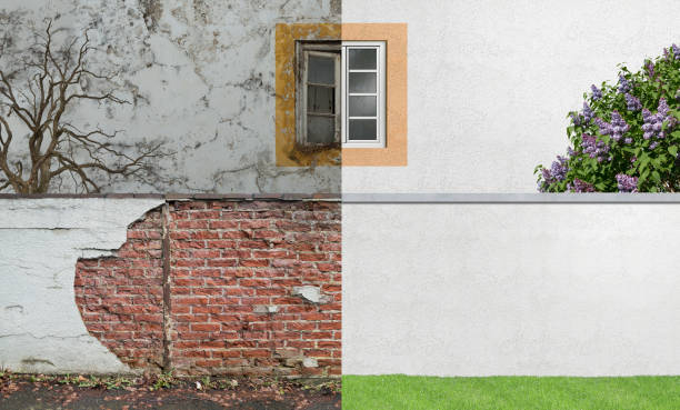 Best Mold Odor Removal Services  in Indian Hills, KY