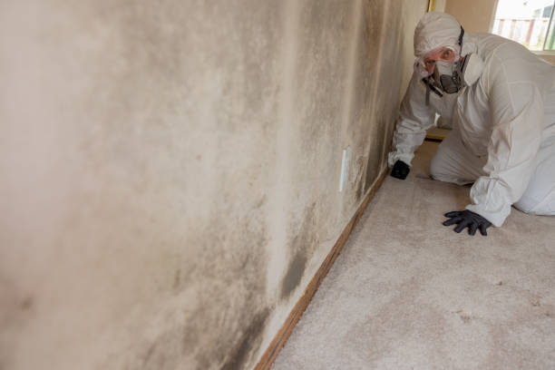 Best Emergency Mold Remediation  in Indian Hills, KY