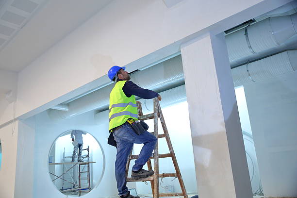 Professional Mold Removal in Indian Hills, KY