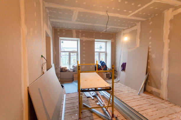 Best Black Mold Removal  in Indian Hills, KY