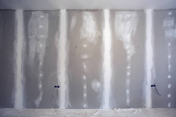 Best Black Mold Removal  in Indian Hills, KY